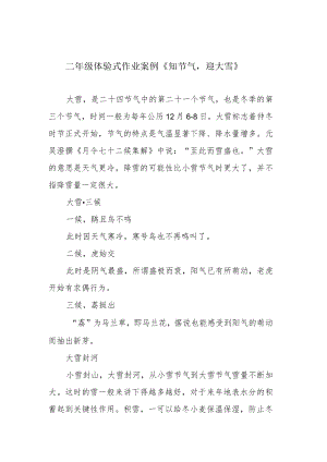 二年级体验式作业案例《知节气迎大雪》.docx