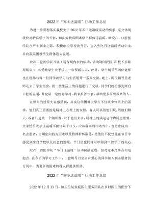 2022年乡镇开展“寒冬送温暖”行动总结（6份）.docx