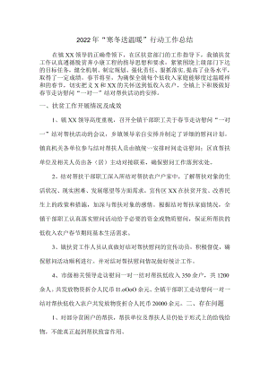 2022年乡镇开展“寒冬送温暖”行动总结（合计2份）.docx