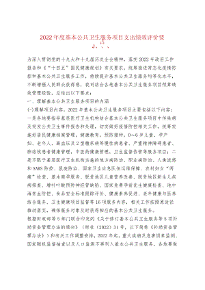 2022年度基本公共卫生服务项目支出绩效评价要点.docx