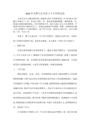 2022年天然气公司员工个人年终总结（精品汇编6篇）.docx