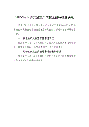 2022年5月安全生产大检查督导检查要点.docx