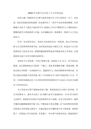 2022年天然气公司员工个人年终总结（合计6篇）.docx