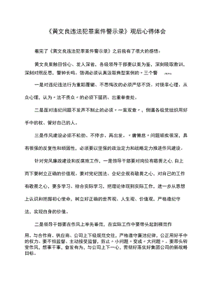《黄文良违法犯罪案件警示录》观后心得体会.docx