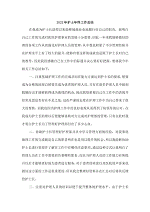 2022年乡镇护士个人年终总结 (最新).docx