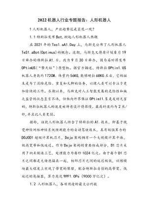 2022机器人行业专题报告：人形机器人.docx