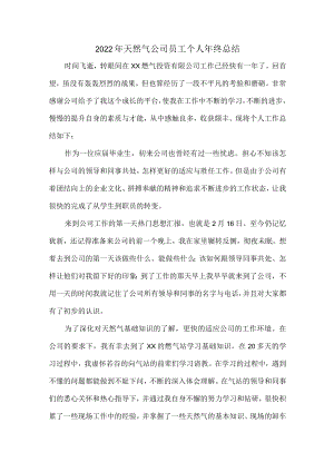 2022年天然气公司员工个人年终总结 (合并4份).docx