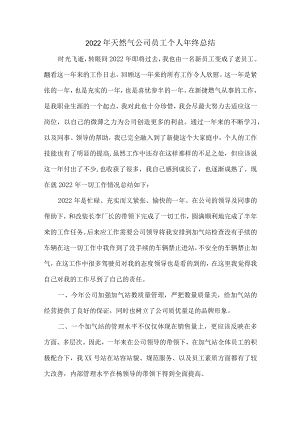 2022年天然气公司检查员个人年终总结.docx