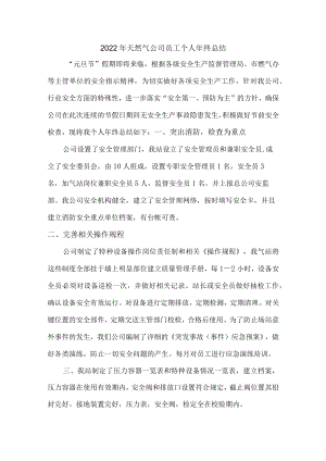 2022年天然气公司员工个人年终总结（精品6篇）.docx