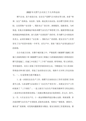 2022年天然气公司员工个人年终总结（6篇）.docx