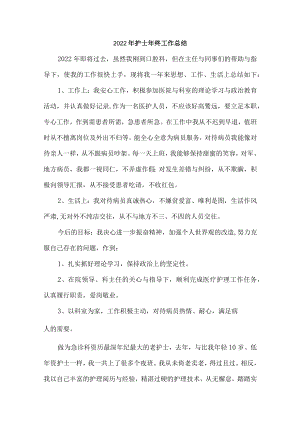 2022年护士个人年终总结 (最适用).docx