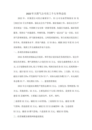 2022年天然气公司员工个人年终总结 (汇编4份).docx