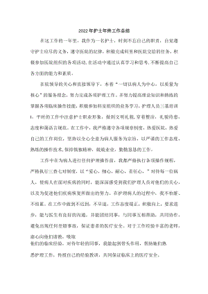 2022年护士个人年终总结 (精华4篇).docx