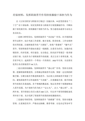 经验材料：发挥职级晋升作用持续激励干部担当作为.docx