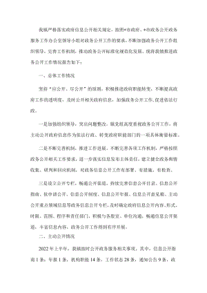 镇人民政府2022年政务公开工作汇报.docx