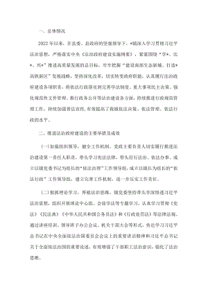 镇2022年度法治政府建设工作进展情况汇报.docx