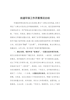 街道环保工作开展情况总结.docx