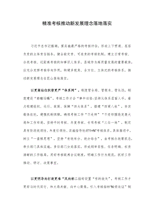 精准考核推动新发展理念落地落实(1).docx