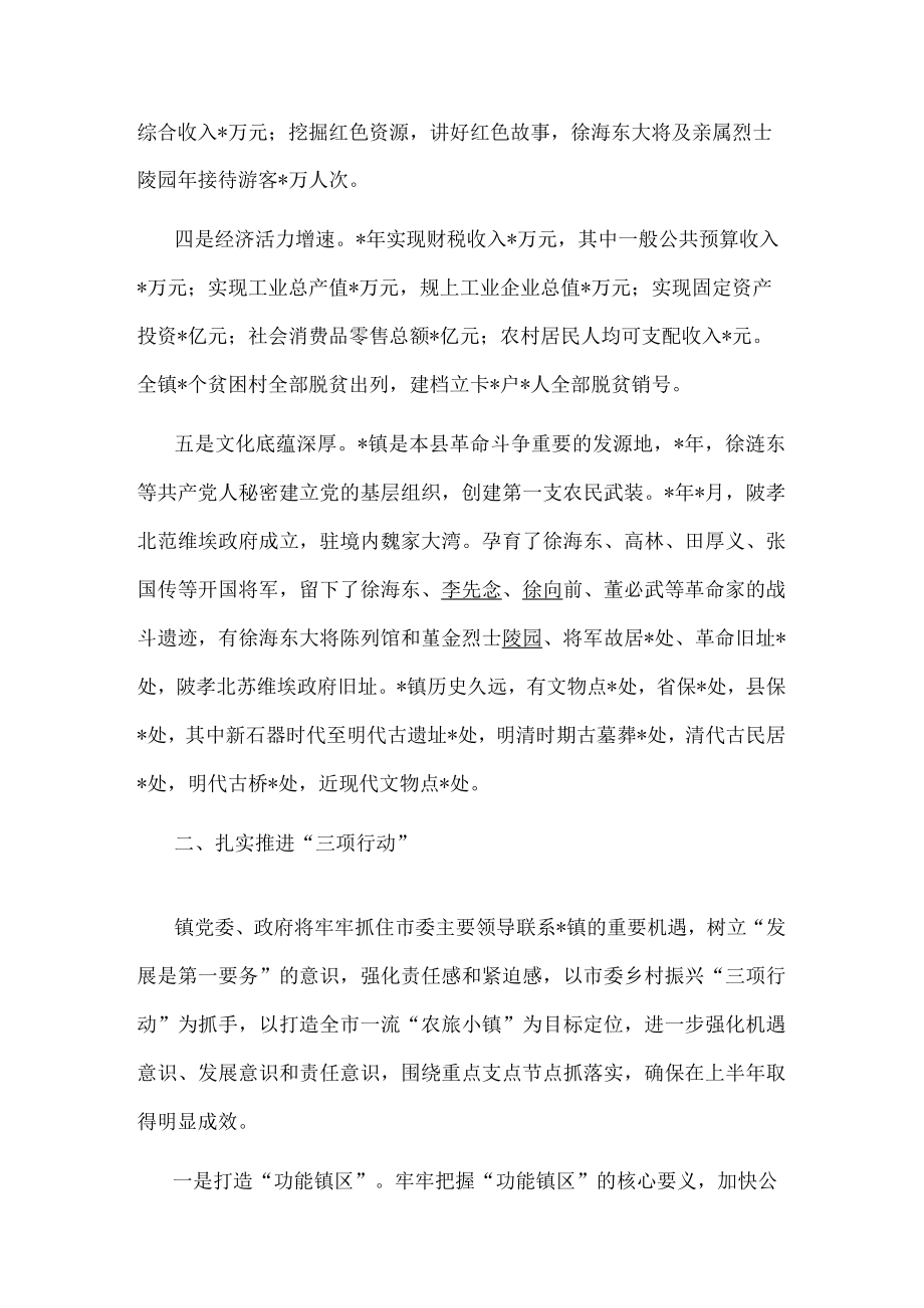 镇乡村振兴“三项行动”情况汇报.docx_第2页