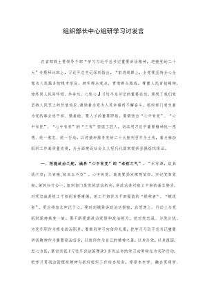 组织部长中心组研学习讨发言.docx
