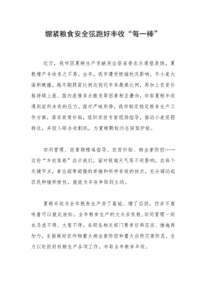 绷紧粮食安全弦跑好丰收“每一棒”.docx