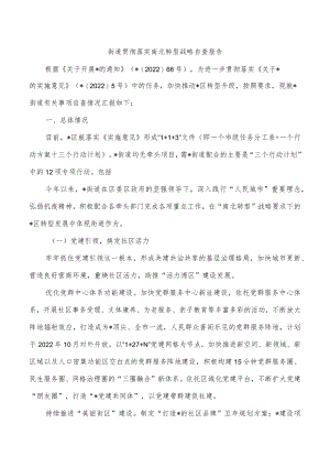 街道贯彻落实南北转型战略自查报告.docx