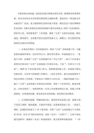 组织部长党支部建设座谈会发言提纲.docx