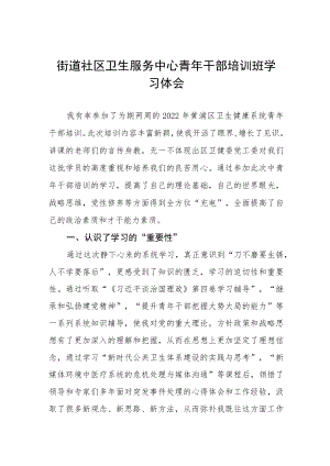 街道社区卫生服务中心青年干部培训班学习体会五篇.docx