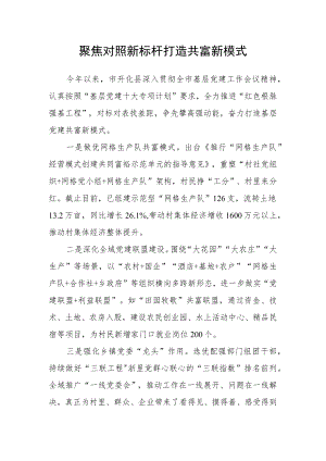 聚焦对照新标杆 打造共富新模式.docx