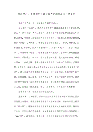 经验材料：着力加强年轻干部“逆境式培养”供借鉴.docx