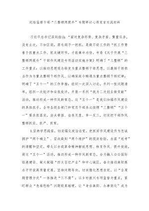 纪检监察干部“三整顿两提升”专题研讨心得发言交流材料5篇.docx