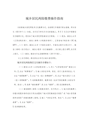 城乡居民两险缴费操作指南.docx