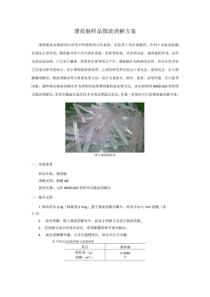 薄荷脑样品微波消解方案.docx
