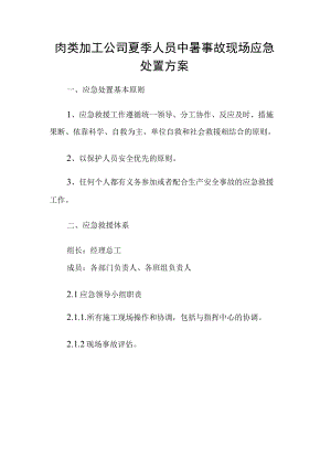 肉类加工公司夏季人员中暑事故现场应急处置方案.docx
