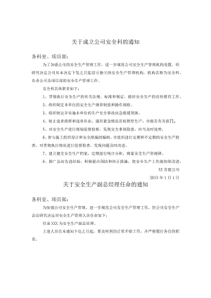 公司安全管理人员任命书样例.docx