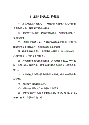 医院计划财务处工作职责.docx