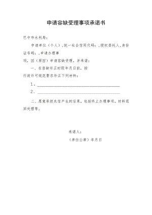 申请容缺受理事项承诺书.docx