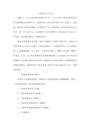 公司销售工作计划.docx