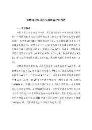 营林绿化处项目支出绩效评价报告.docx