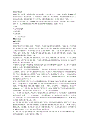 网易严选编辑.docx
