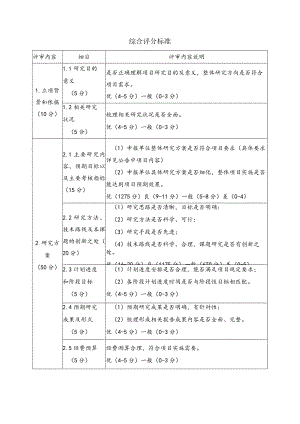 综合评分标准.docx