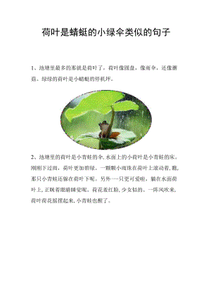 荷叶是蜻蜓的小绿伞类似的句子.docx