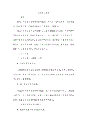 出纳实习总结.docx
