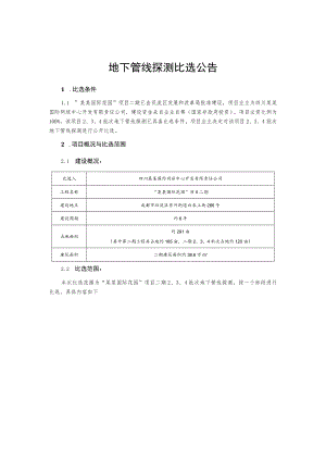 地下管线探测比选公告.docx