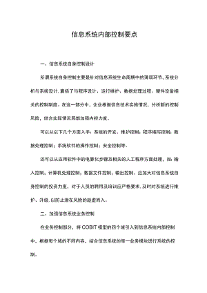 信息系统内部控制要点.docx