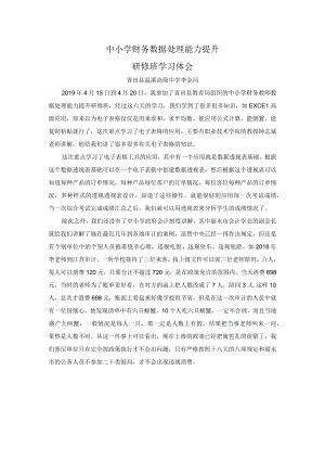 中小学财务数据处理能力提升研修班学习体会.docx