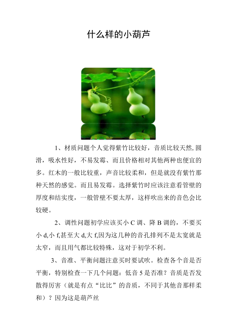 什么样的小葫芦.docx_第1页