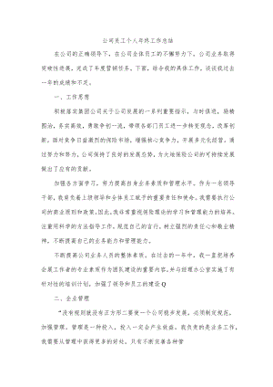 公司员工个人年终工作总结.docx