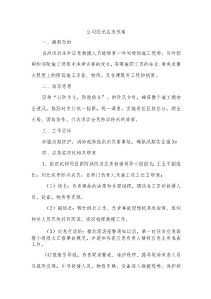 公司防汛应急预案.docx