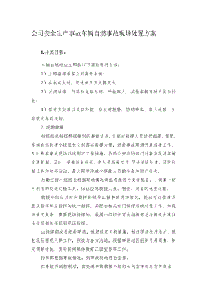 公司安全生产事故车辆自燃事故现场处置方案.docx